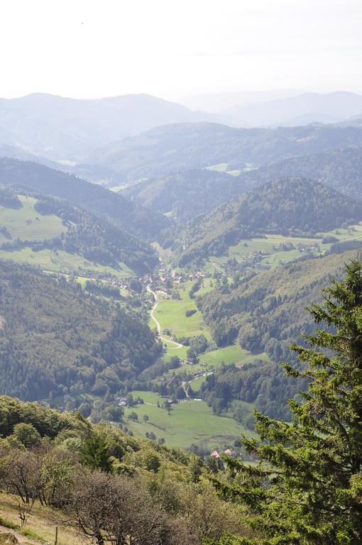 Pension Gasthaus Zur Schmiede Dachsberg im Schwarzwald Extérieur photo