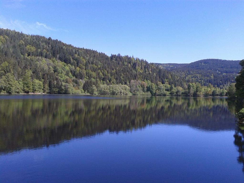 Pension Gasthaus Zur Schmiede Dachsberg im Schwarzwald Extérieur photo