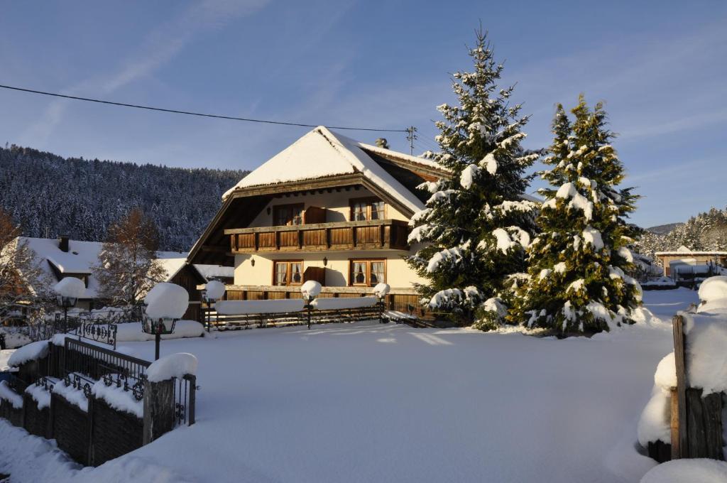 Pension Gasthaus Zur Schmiede Dachsberg im Schwarzwald Extérieur photo