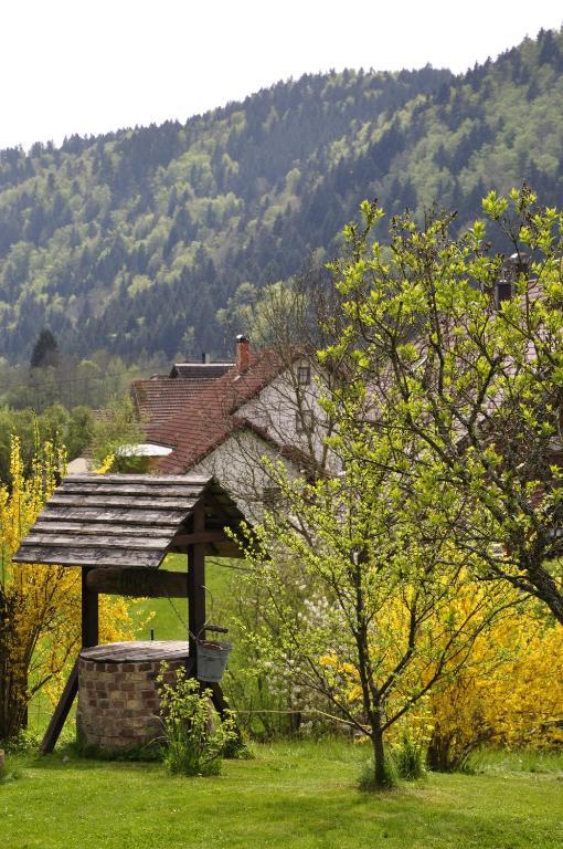 Pension Gasthaus Zur Schmiede Dachsberg im Schwarzwald Extérieur photo