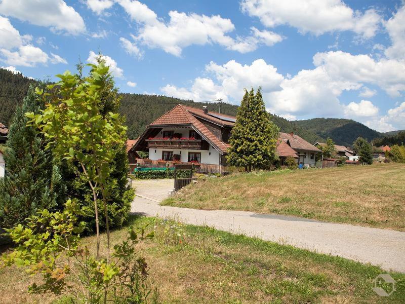 Pension Gasthaus Zur Schmiede Dachsberg im Schwarzwald Extérieur photo